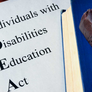 Our View of the Legislature: Special Education
